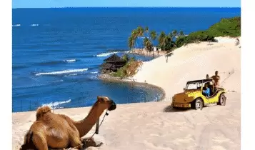 Praia de Genipabu Praia de Genipabu