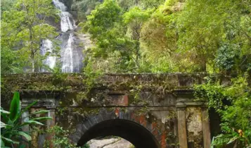 Floresta da Tijuca