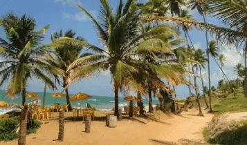 Praia Coqueirinho Praia Coqueirinho