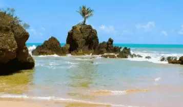Praia de Tambaba Praia de Tambaba
